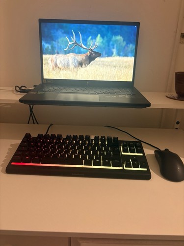 Acer nitro 6in - ryzen, 7